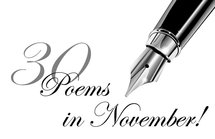 2022 Edition of 30 Poems in November!