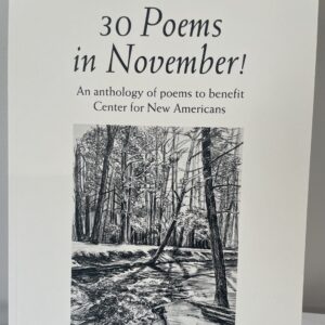 30 Poems 2023 Anthology; black and white sketch of a river running through a forest