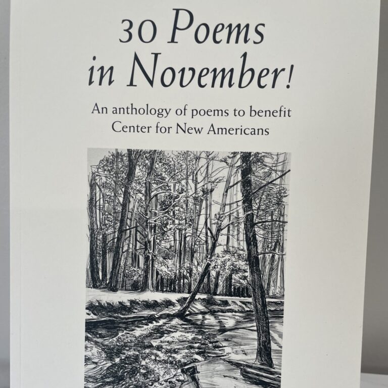 30 Poems in November! 2023